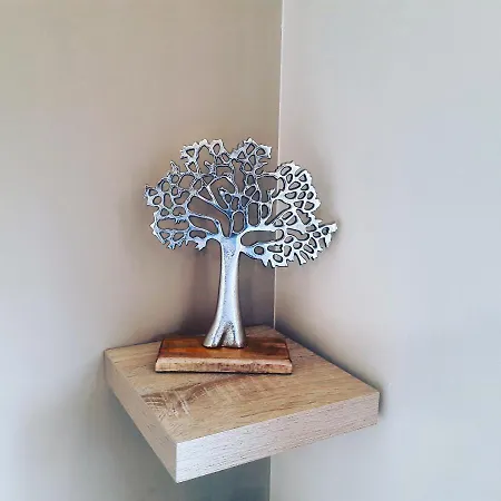 Komlenac-zlatibor 아파트 *