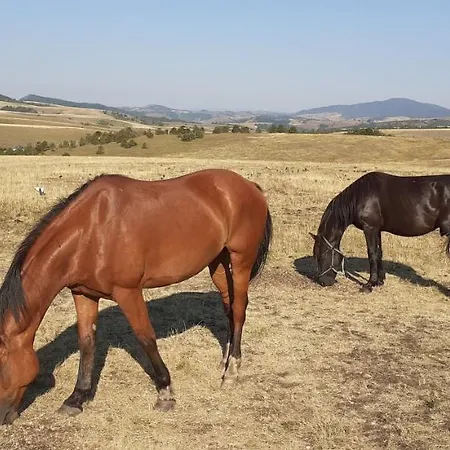 Komlenac-zlatibor * זלאטיבור