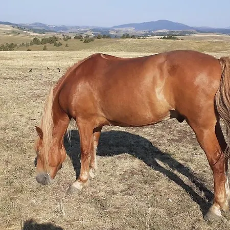 דירה Komlenac-zlatibor